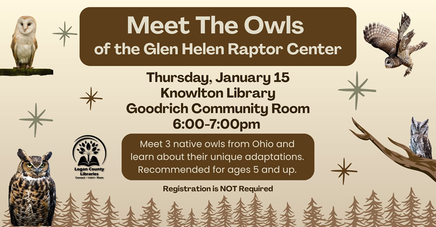 Four owls on tan background