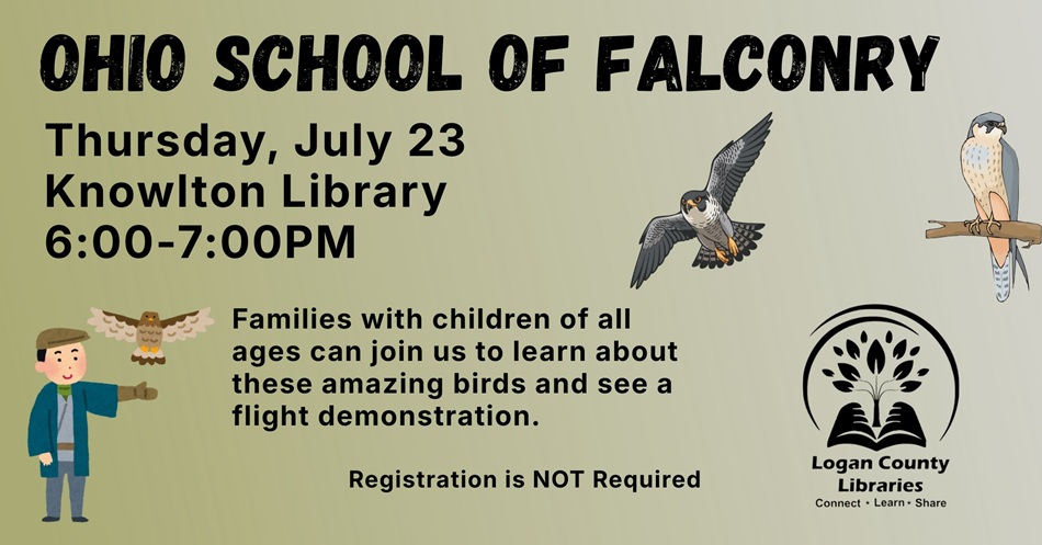 Two falcons flying, one just above a man's arm, and a falcon perched on a limb.
